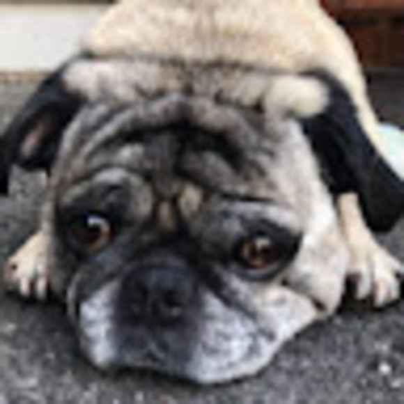 Meet your Posher, Sindoor - Picture 1 of 1